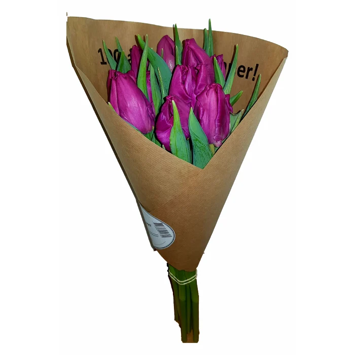 Papegojtulpan 10-p 35cm varierande färger