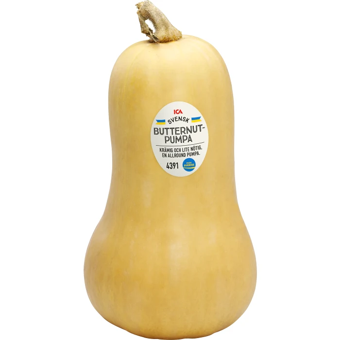 Pumpa Butternut ICA ca 1000g