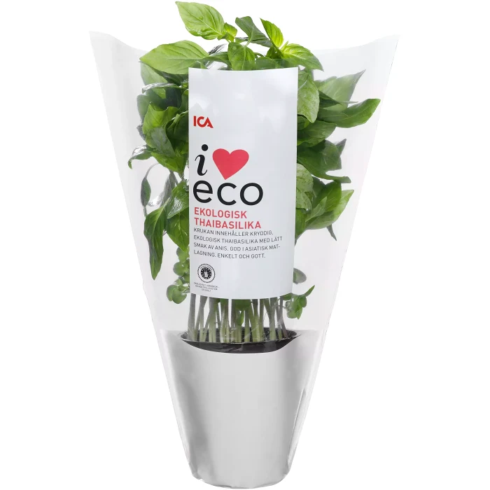 Thaibasilika Ekologisk 1-p KRAV Klass 1 ICA I love eco