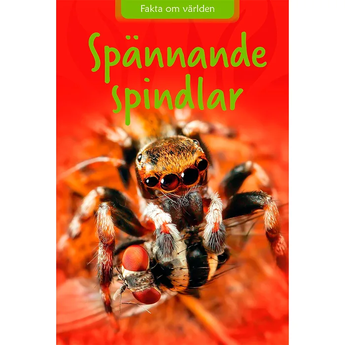 Spännande spindlar