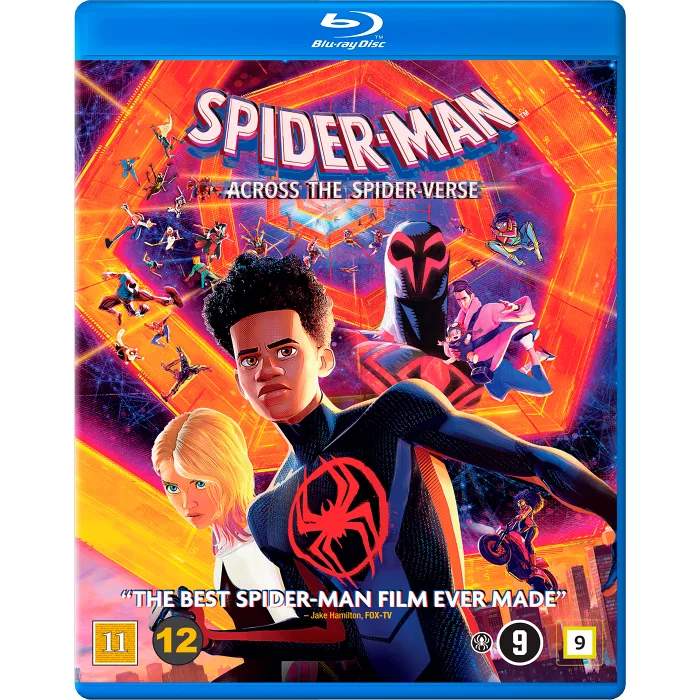 BD Spider-man: Across the spider-v