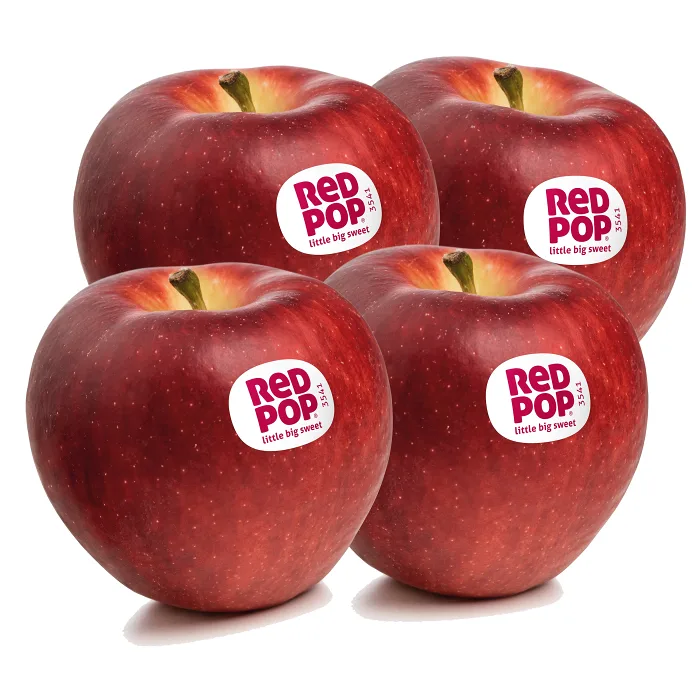Äpple RedPop 4-p Klass 1