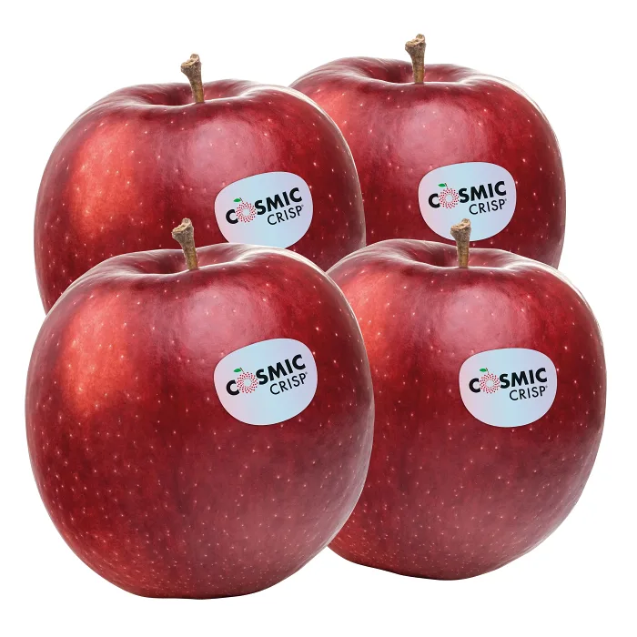 Äpple Cosmic crisp 4-p Klass 1