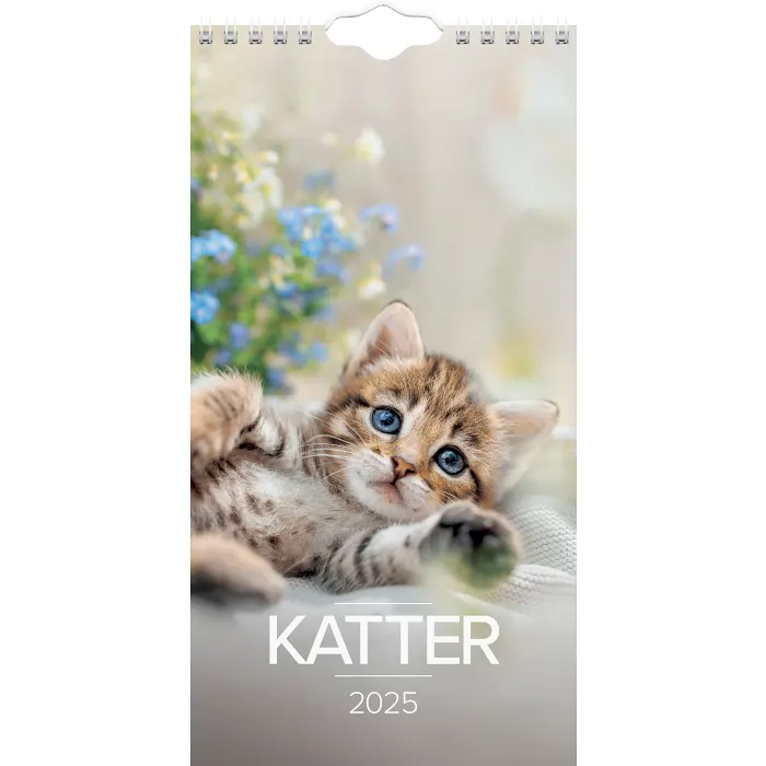 Väggkal Lilla Katt 2025