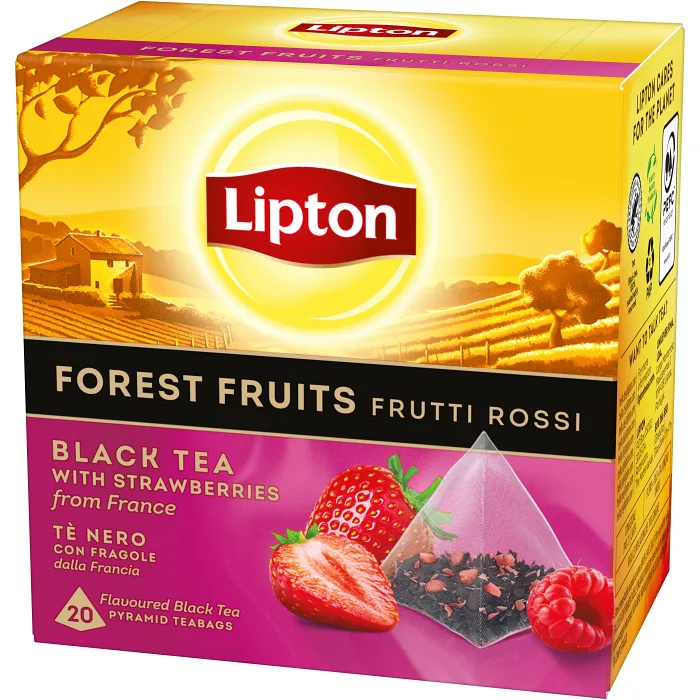 Te Svart Forest Fruit Pyramid 20p Lipton