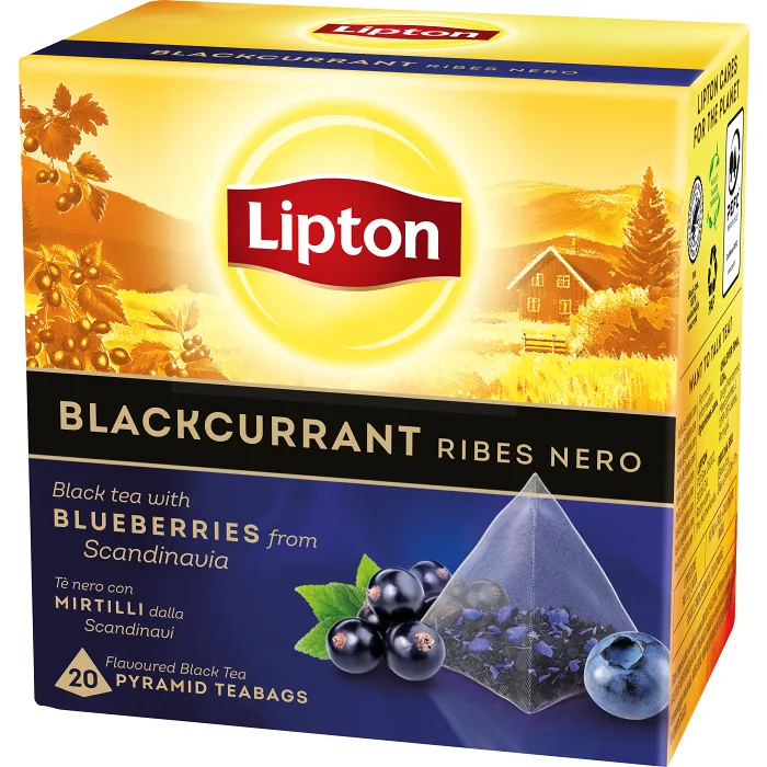 Te Svart Blackcurrant Pyramid 20p Lipton