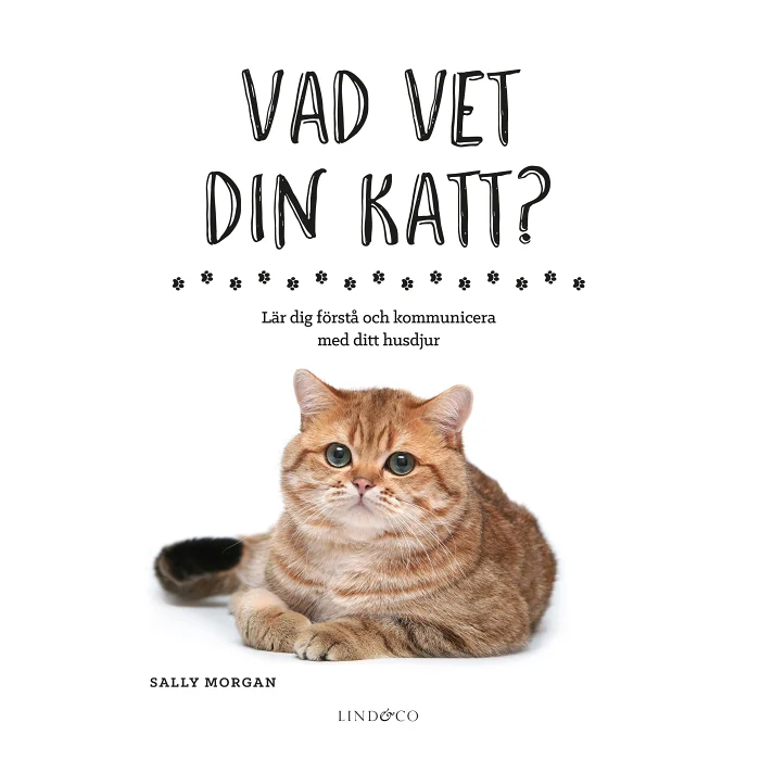 Vad vet din katt? : lär dig förstå och kommunicera med ditt husdjur