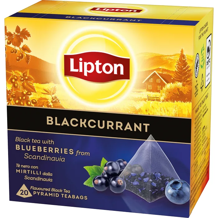 Te Svart Blackcurrant Pyramid 20p Lipton