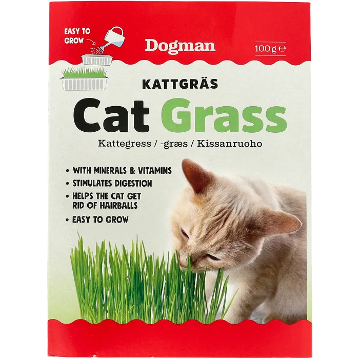 Kattgräs 100g Dogman