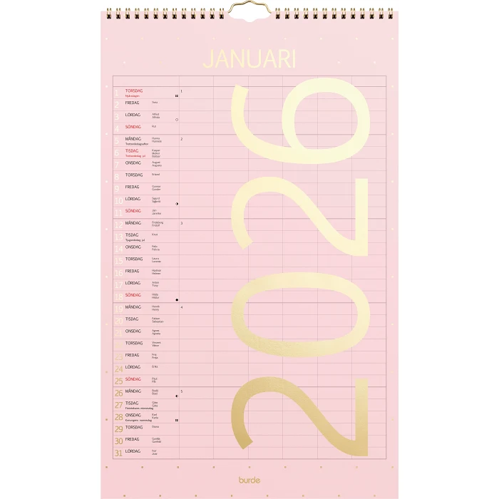 VäggKalender Familj Color 2026