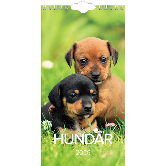 VäggKalender Lilla Hund 2026