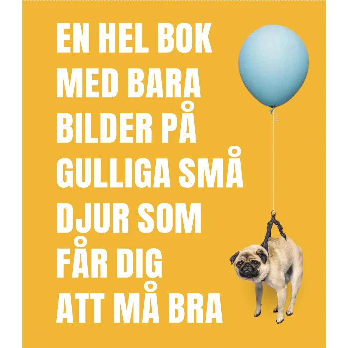 En hel bok med bara bilder på gulliga små djur som får dig att må bra