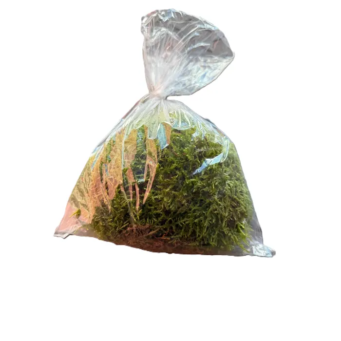Grönmossa 100g SE x30