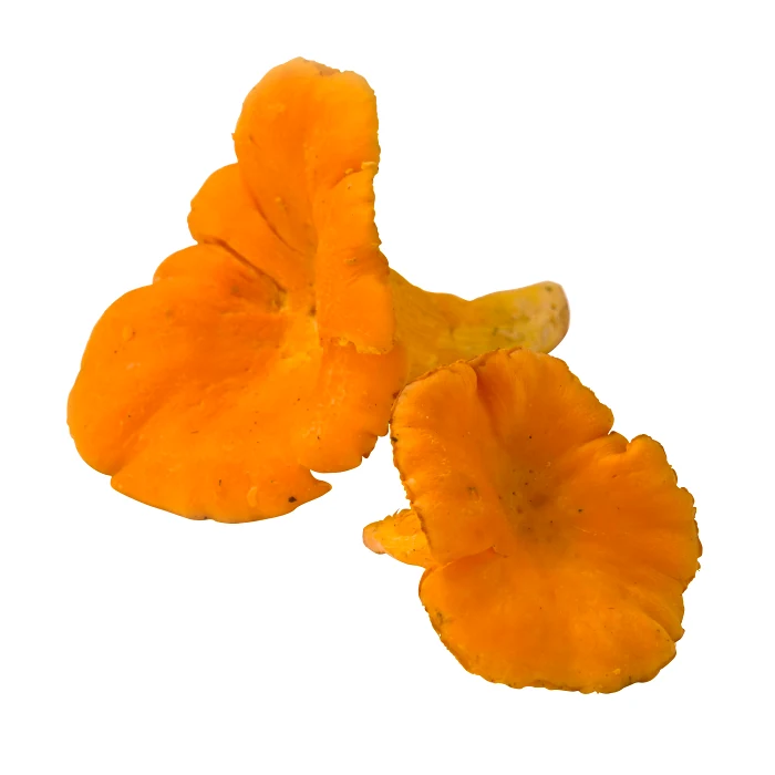 Kantareller ask 150 g