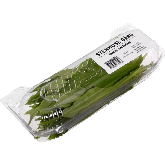 Ramslök i ask 50g Klass 1