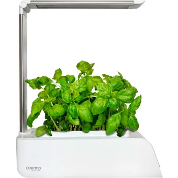 TERMO Smart Garden.