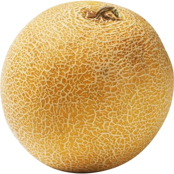 Melon Galia 1 pack Klass 1 ICA