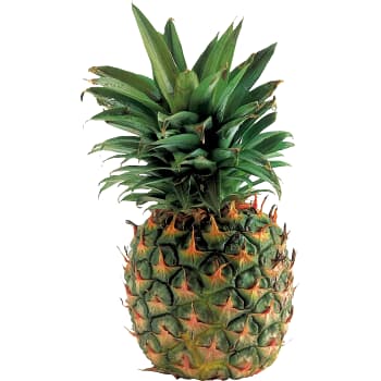 Ananas Extra Sweet 1 pack Klass 1 ICA