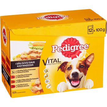 Hundmat Adult i sås 100g 12-p Pedigree