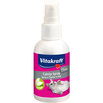 Kattmynta 50 Vitakraft