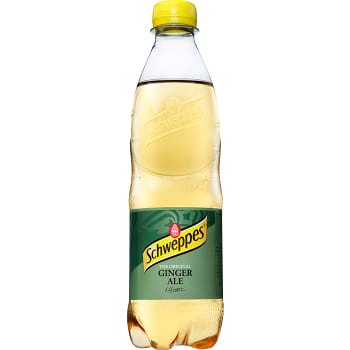 Ginger Ale 50cl Schweppes