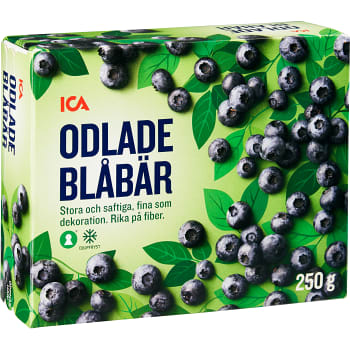 Stora blåbär Fryst 250g ICA