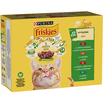 Kattmat i gelé blandade smaker 85g 12-p Friskies