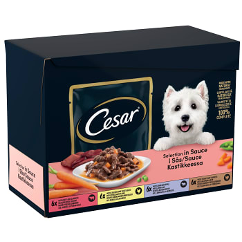 Hundmat Mix i sås 24-p 1200g Cesar