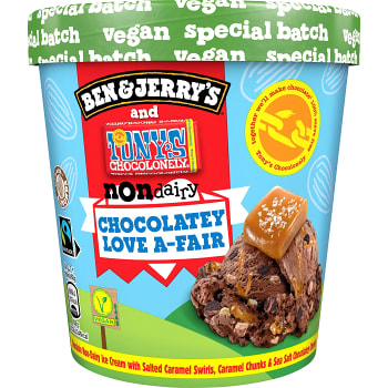 Glass Non-Dairy Chocolatey 465ml Ben &amp; Jerrys