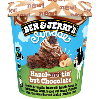 Hazel-nuttin but chocolate 427ml Ben &amp; Jerrys
