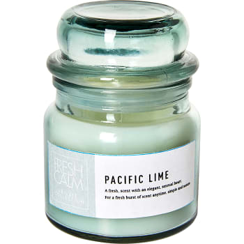 Doftljus Pacifin Lime Grön 1-p ICA