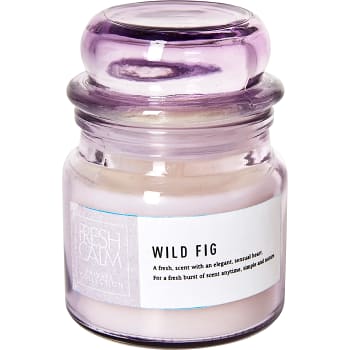 Doftljus Wild Fig Lila 1-p ICA