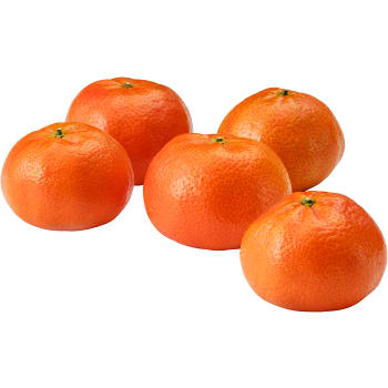 Småcitrus Nadorcott 4 pack Klass 1 ICA