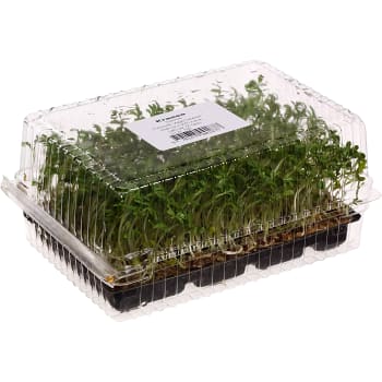 Krasse 100g Klass 1 ICA