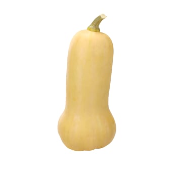 Pumpa Butternut 1 pack Klass 1 ICA