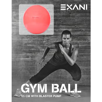 Gymboll 65 cm Rosa Exani
