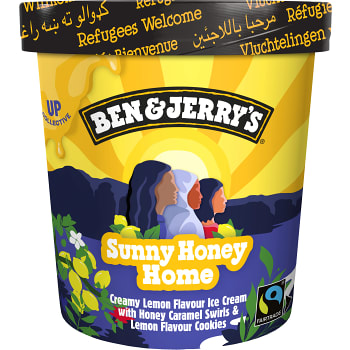 Glass Sunny Honey 465 ml Ben &amp; Jerrys