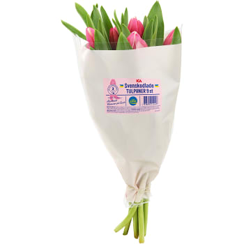 Tulpaner 9-p 35cm varierande färger ICA Rosa bandet