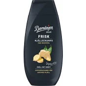 Schampo Frisk Ingefära 250ml Barnängen