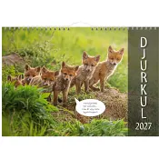 VäggKalender  Djurkul 2027