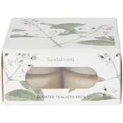 Doftvärmeljus Sandalwood 8-p ICA