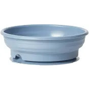 Barntallrik med sugpropp Stay Put 1-p Bambino