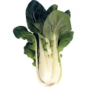 Pak Choi 250g Klass 1