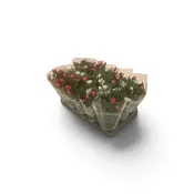 Miniatyrros 10,5cm