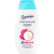 Schampo Fukt&Glans Risvatten 250ml Barnängen