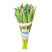 ICA Tulpaner 12 pack Rosa bandet Från Sverige