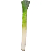 Purjolök ca 250g Klass 1 ICA