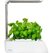 TERMO Smart Garden.