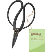 Bonsaisax ICA Garden