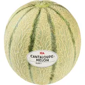 Melon Cantaloupe 1-pack Klass 1 ICA